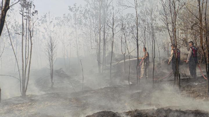 Fending Off the Blaze in Limbung