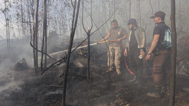 Langkah BNPB Hadapi Risiko Karhutla Imbas Kemarau Tahun Ini