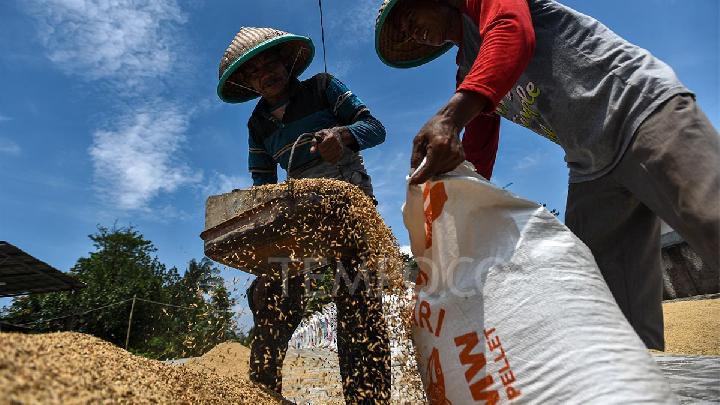 FAO Reports 2.4% Increase in Global Food Prices Amid Rising Energy Costs