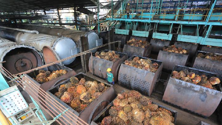 Indonesia's Crude Palm Oil Exports Surge to $4.69bn