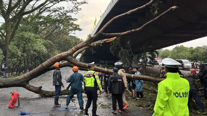Hujan Deras dan Angin Kencang di Bandung Tumbangkan 33 Pohon