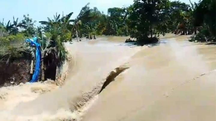Tanggul Jebol Lagi di Sungai Tuntang, Banjir Seret 14 Rumah
