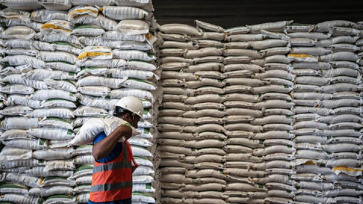 Minister: Indonesia's 4.6mn-Ton Rice Stock Secure Amid Global Tensions, El Nino