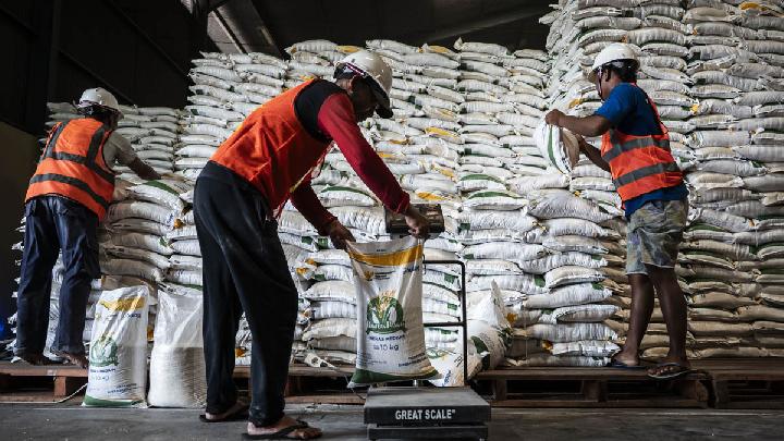 Bulog: Stok Beras 5,36 Juta, Kapasitas Simpan 6,2 Juta Ton