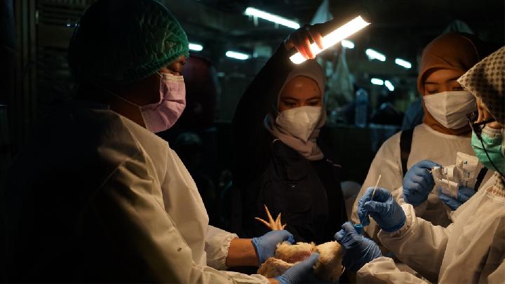 WHO Lauds Indonesia for Zoonotic Diseases Prevention with 'One Health' Program