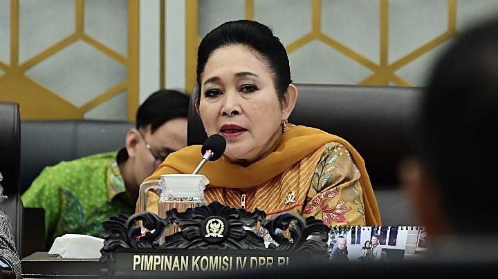 Hadapi Dinamika Global, Komisi IV DPRMinta Dilakukan Penguatan Pangan Nasional