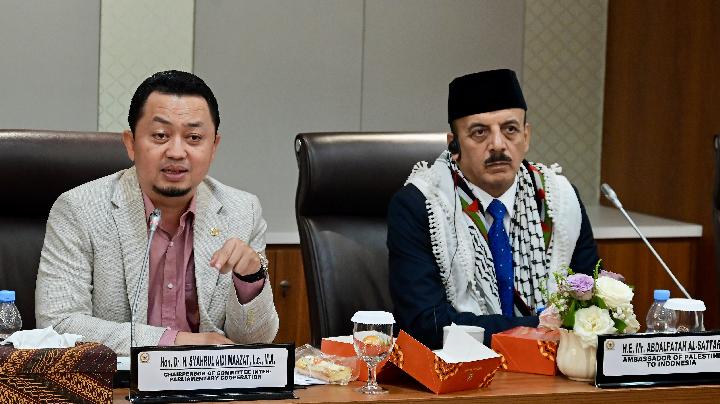 BKSAP Perkuat Sinergi Parlemen dan NGO, Dukung Perjuangan Palestina