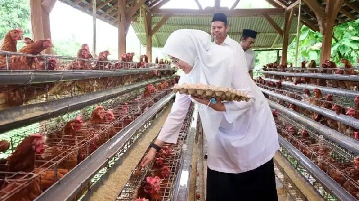 Ekonomi Banyuwangi Lampaui Jatim dan Nasional, Kebijakan Bupati Tuai Pujian