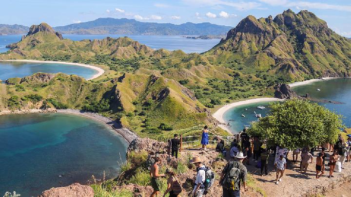 Masyarakat Sipil Bisa Akses Hibah dari FAO hingga Rp 1,2 M