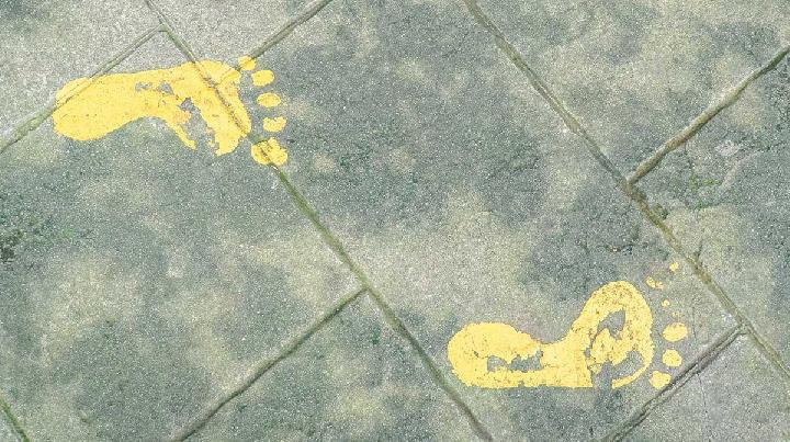 Haiti: Several Police Arrested over Stampede Which Killed 25