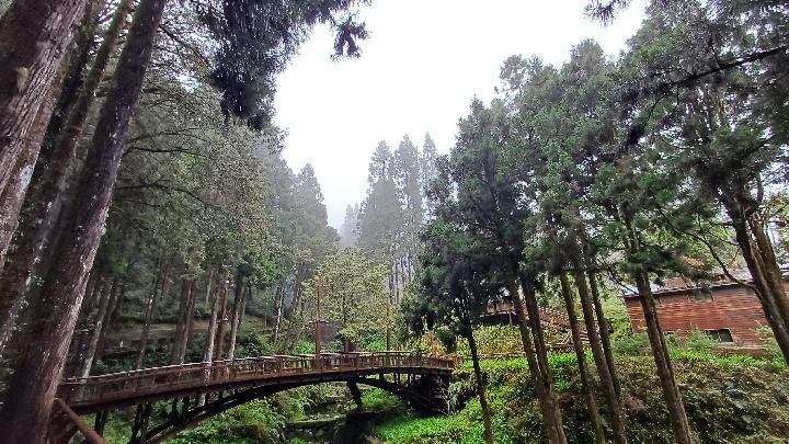 Menelusuri Jejak Kereta Tua di Gunung Alishan Taiwan