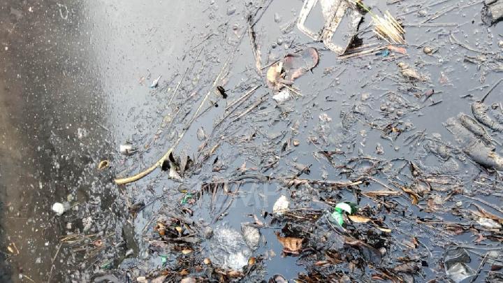 Tumpahan Oli Bekas Mencemari Drainase-Irigasi di Probolinggo