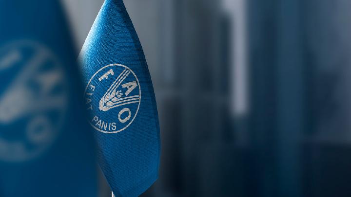 FAO: World Faces 'Catastrophe' if Hormuz Stays Disrupted