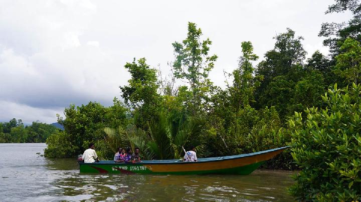 Begini Mangrove Menjaga Ruang Hidup Masyarakat Adat Kaitaro