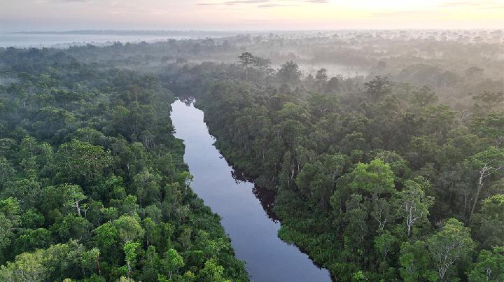 Kemenhut Sosialisasi Aturan Baru Karbon Hutan untuk Rakyat