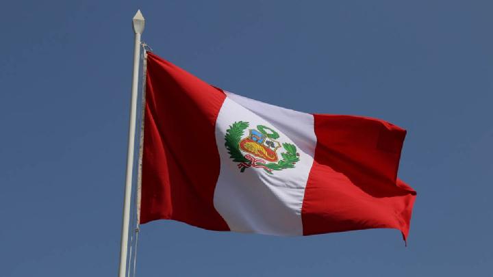 Ketua KPU Peru Mundur Setelah Kekacauan Pemilu