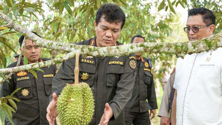 Hilirisasi Barantin Tingkatkan Ekspor Durian dan Perkuat Rantai Global
