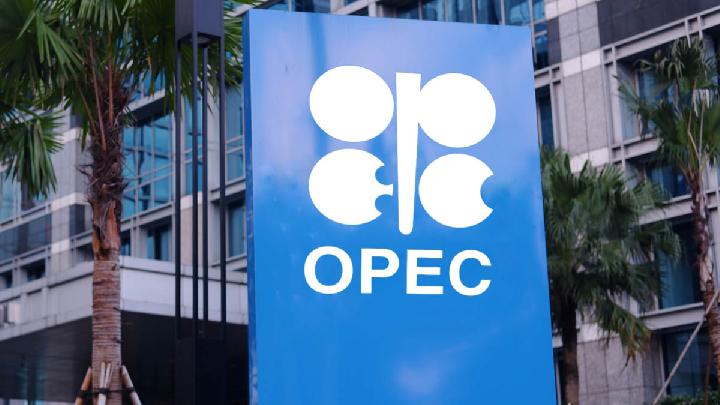 UAE Quits OPEC in Shock Move Amid Energy Turmoil
