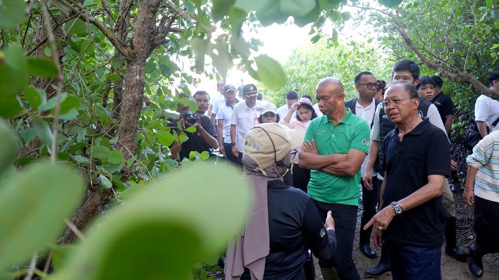 Kolaborasi Pemprov Bali Tingkatkan Ruang Terbuka Hijau