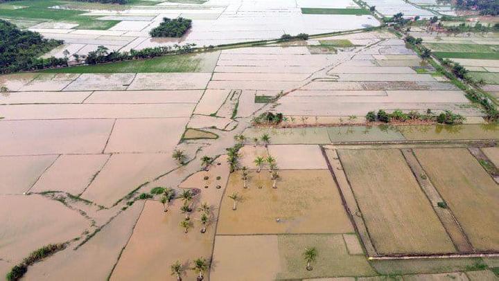Kemendagri Akan Evaluasi Pejabat Daerah yang Lamban Merehabilitasi Sawah