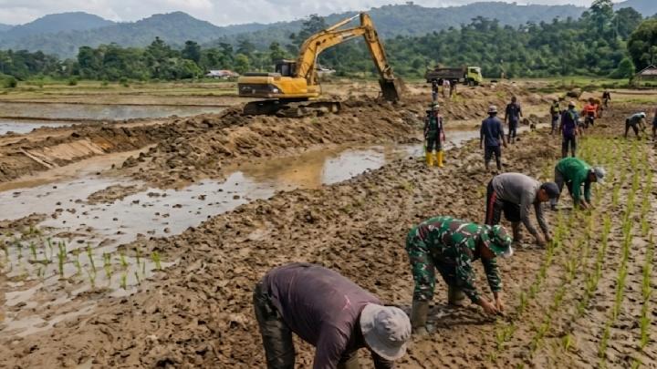 Kejar Musim Tanam Sebelum Agustus, Pemerintah Targetkan Pemulihan 42.702 Hektare Sawah Terdampak Banjir Sumatra