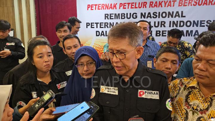 Peternak Ungkap Swasembada Telur namun Serapan di MBG Rendah