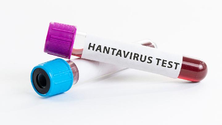 Understanding Hantavirus: Symptoms, Causes, and Risks