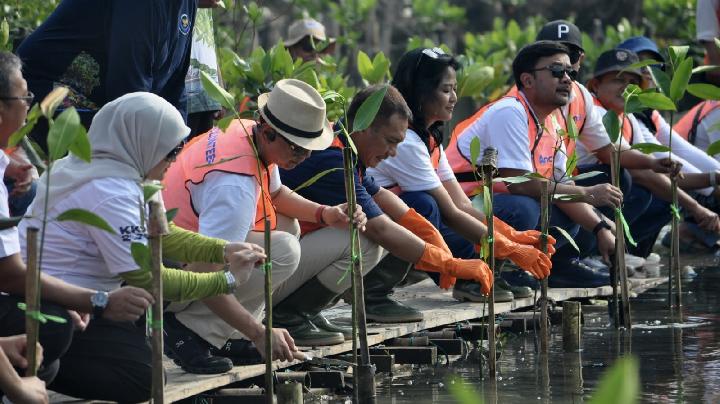 Sinergi KKP dan Swasta Perkuat Ekosistem Karbon Biru