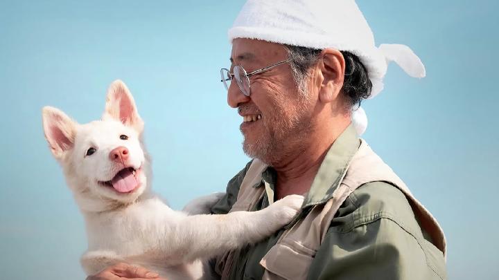 Sinopsis Film Thailand Gohan: Kesetiaan Seekor Anjing Liar