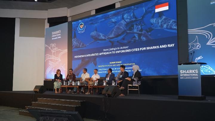 KKP Paparkan Pengelolaan Berkelanjutan Hiu dan Pari di Forum Sharks International 2026