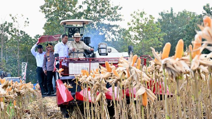 Kapolri Laporkan Hasil Panen Raya Jagung ke Prabowo