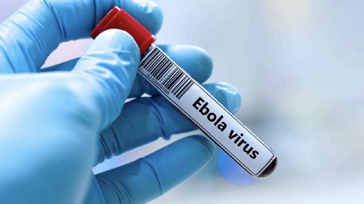 WHO: Wabah Ebola di Kongo dan Uganda Darurat Internasional