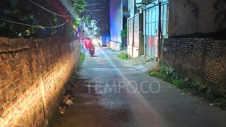 Dari Mana Asal Kawanan Rusa Berkeliaran di Pinggiran Depok