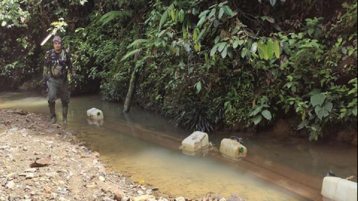 Kayu Ilegal Beredar dari Taman Nasional Bukit Tigapuluh Riau