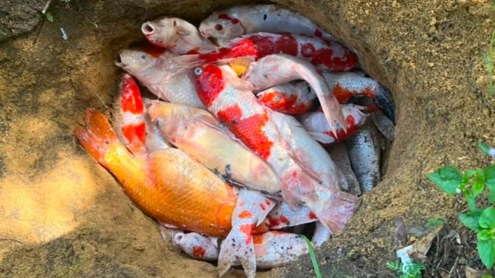 Pemadaman Listrik di Pekanbaru Picu Gangguan Aktivitas dan Kerugian Warga
