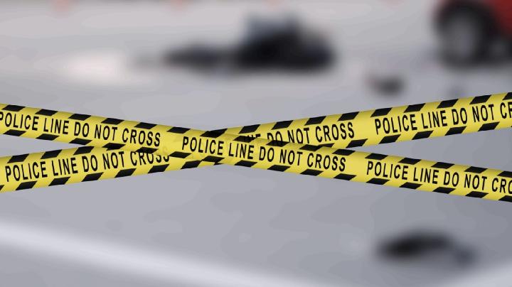 South Africa: Mass Shooting Kills 12 Near Johannesburg