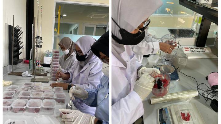 Cegah Kecurangan Pangan, BRIN Kembangkan Teknologi Deteksi