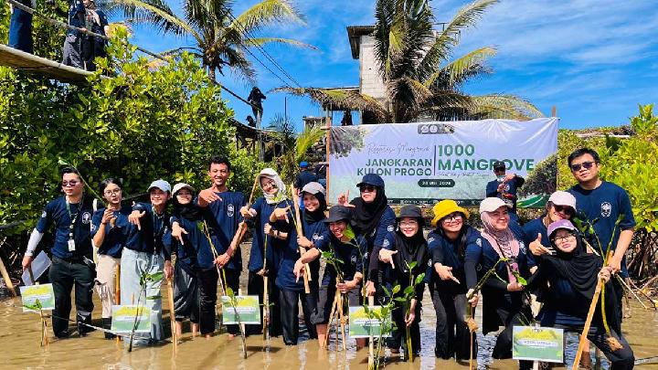 Tanam 1.000 Mangrove, Relawan Restorasi Pesisir Kulon Progo