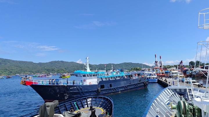 Kapal Pengawas KKP Cegah Penyelundupan 1,2 Ton Ikan Napoleon