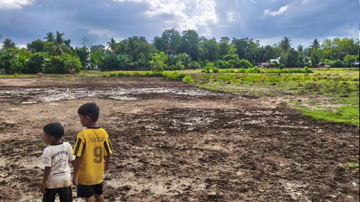 Pemkab Pidie Pacu Pemulihan Sawah, 287 Hektare Sudah Panen Dua Kali