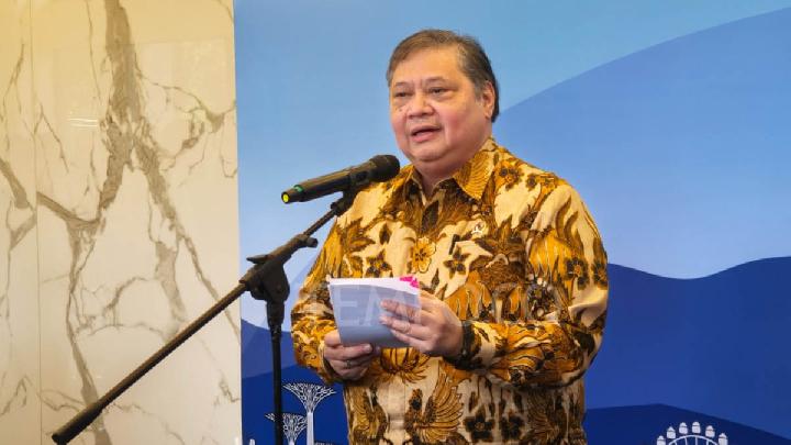 No Electricity Export to Singapore This Year, Says Airlangga