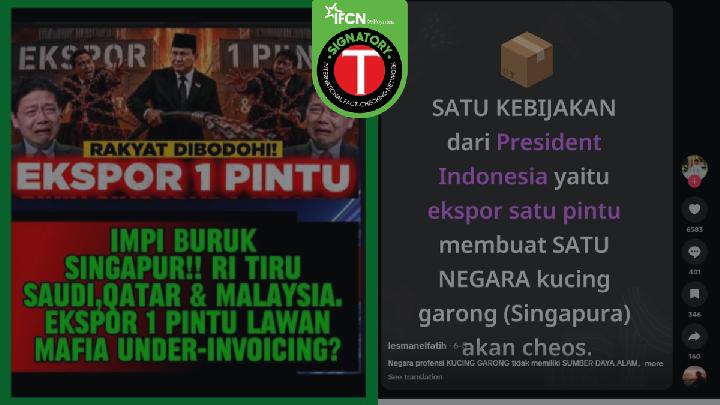 Fact Check: Did Indonesia's One-Stop Export Policy Hurt Singapore's Oligarchs?