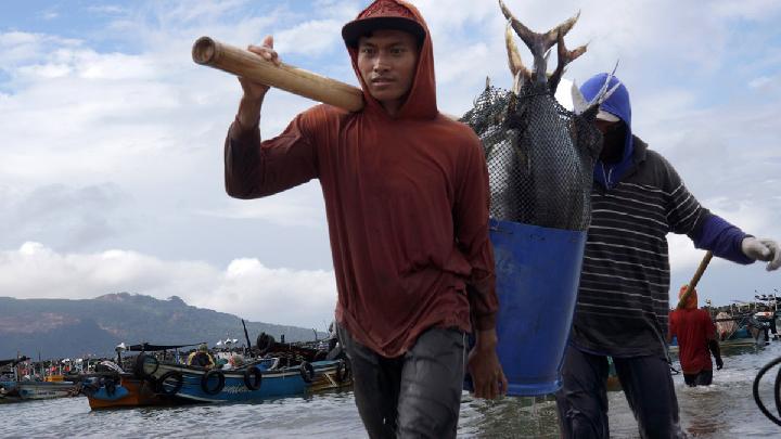 FAO: Asia Drives Global Aquatic Production to Record High
