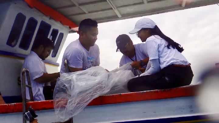 KKP Lepas Puluhan Ekor Hiu Hasil Penangkaran