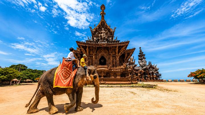 Aktivitas Wisata Pattaya, dari Suaka Gajah sampai Island Tour