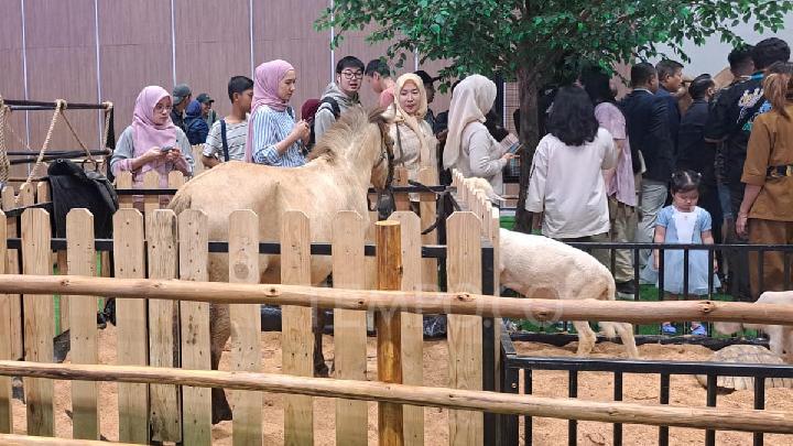 Koleksi Hewan Peliharaan Irfan Hakim Ramaikan JIPS 2026
