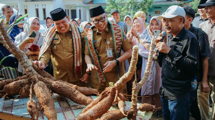 Gubernur Lampung Perkuat Pertanian Lewat Pupuk Organik Cair dan Hilirisasi Desa