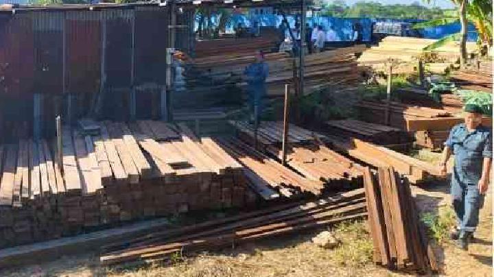 Sita 1.250 Batang Kayu, Kemenhut: Modus Pemalsuan Dokumen
