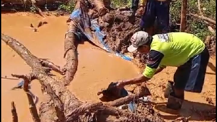 DLH Banyuwangi Respons Kerusakan Lahan Akibat Tambang Emas